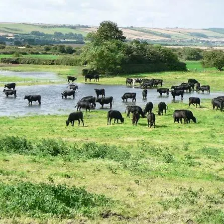 펜션 Farm